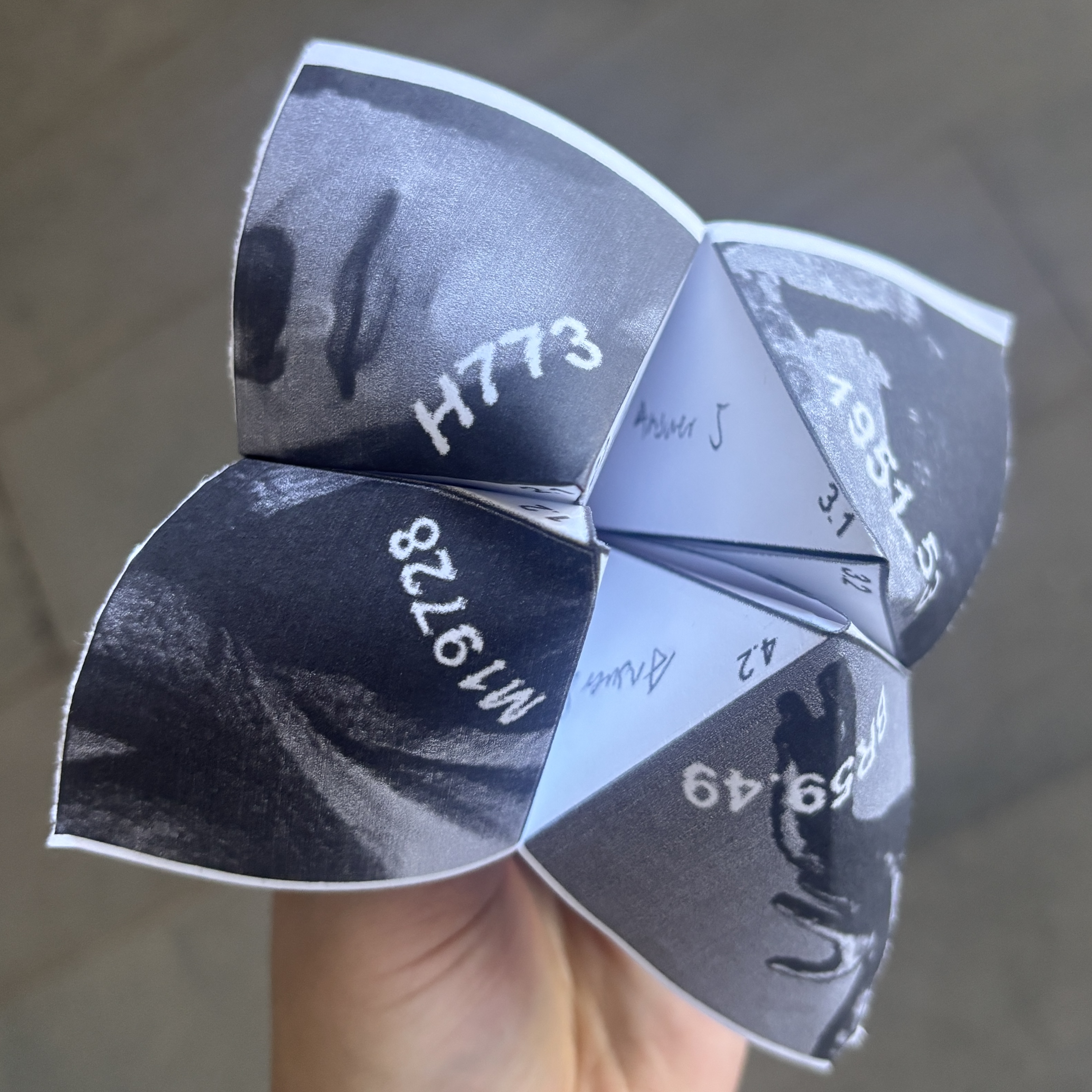 The completed worksheet folded into a Cootie Catcher (东南西北)